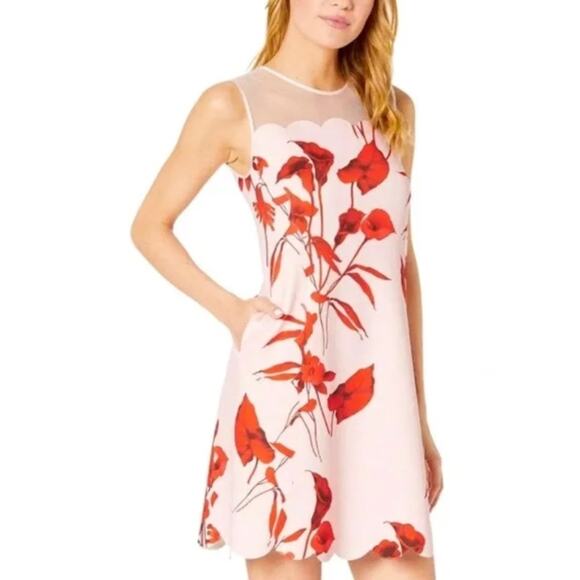 Ted Baker Dresses & Skirts - Ted Baker Jaazmin Fantasia Scallop Pink Floral Dress NWT Size 12